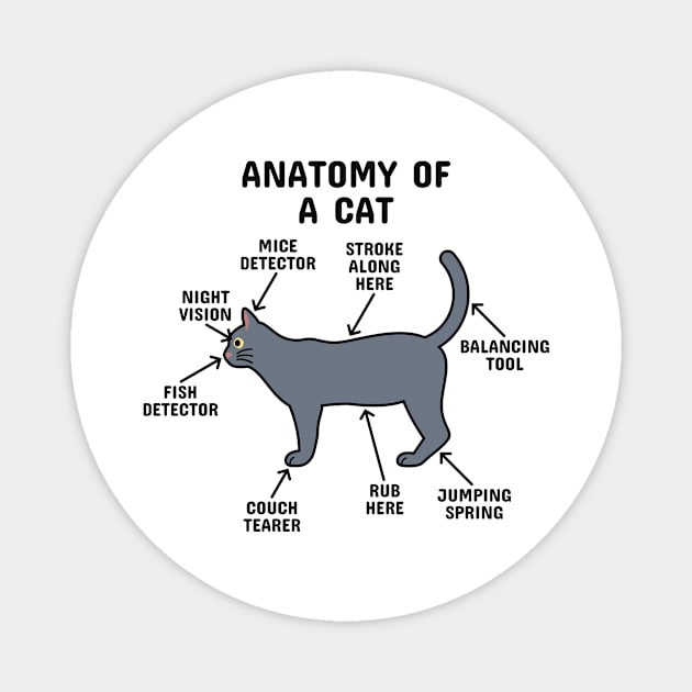 Anatomy of a Cat Gray Magnet by blacklines